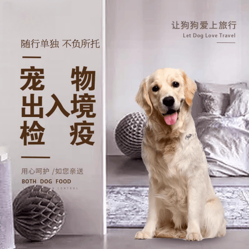 毕节地区宠物托运到哥伦比亚猫狗宠物入境规定和