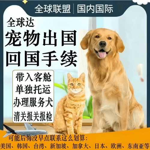毕节地区宠物托运到柬埔寨宠物入境规定和要求